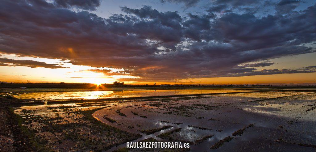 Atardecer en los arrozales 2