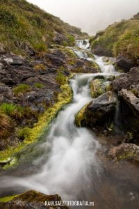 Torrente