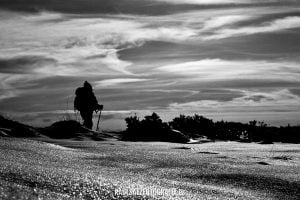 Brillos y sombras