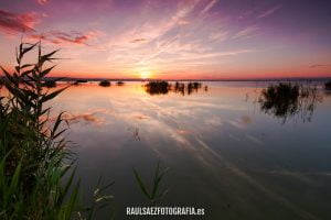 Atardecer de verano en la Albufera
