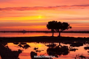 Amanecer en los arrozales de la Albufera