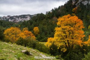 Contrastes de color