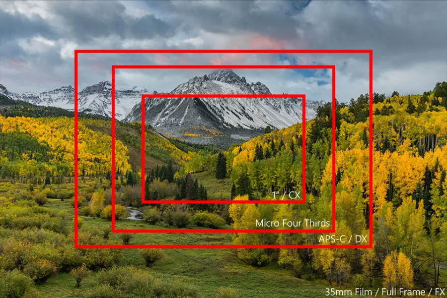 Comparativa de tamaños de sensor: full frame, APS-C, micro 4/3