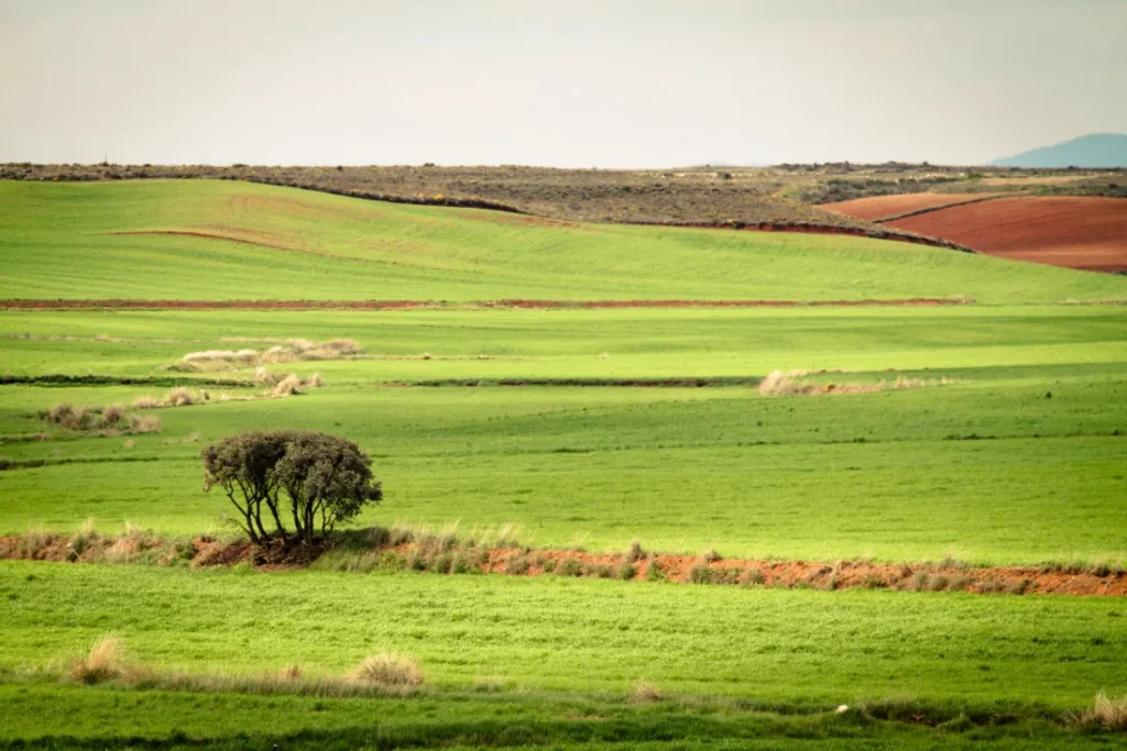 Paisaje de montaña con el horizonte nivelado en el tercio superior