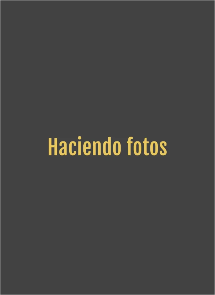 Ilustración de una persona haciendo una fotografía