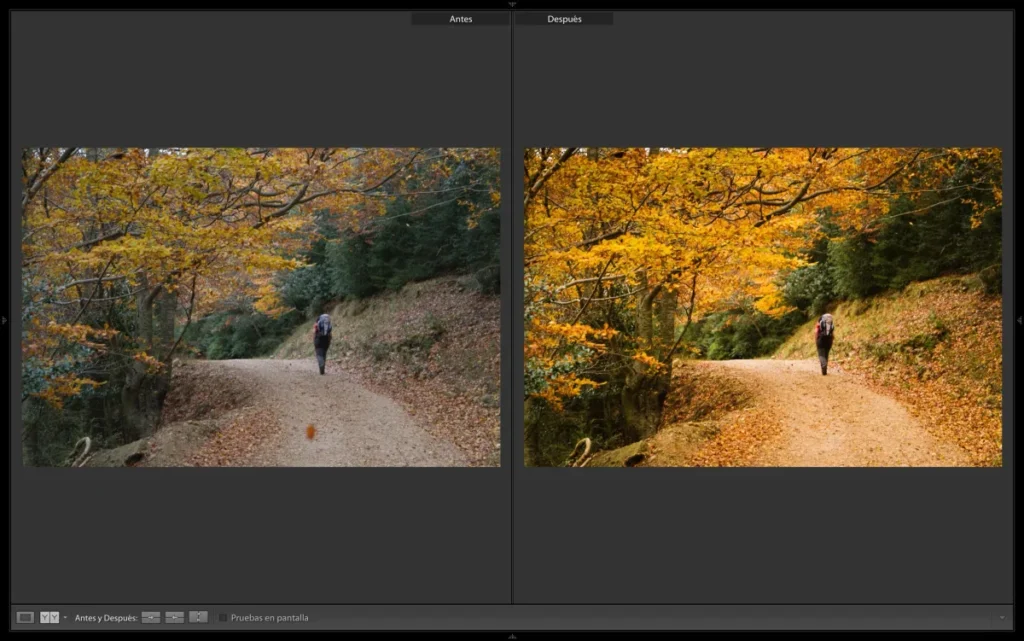 Pantalla de revelado digital de una fotografía