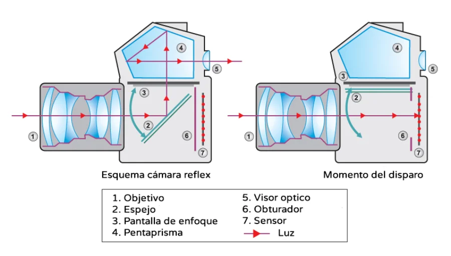 Diagrama del interior de una cámara réflex y su sensor